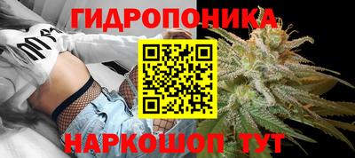 прущие крисы Донецк