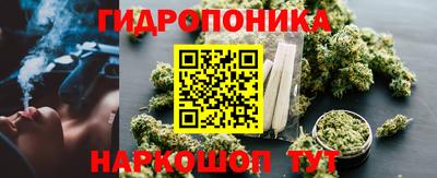 прущие крисы Донецк